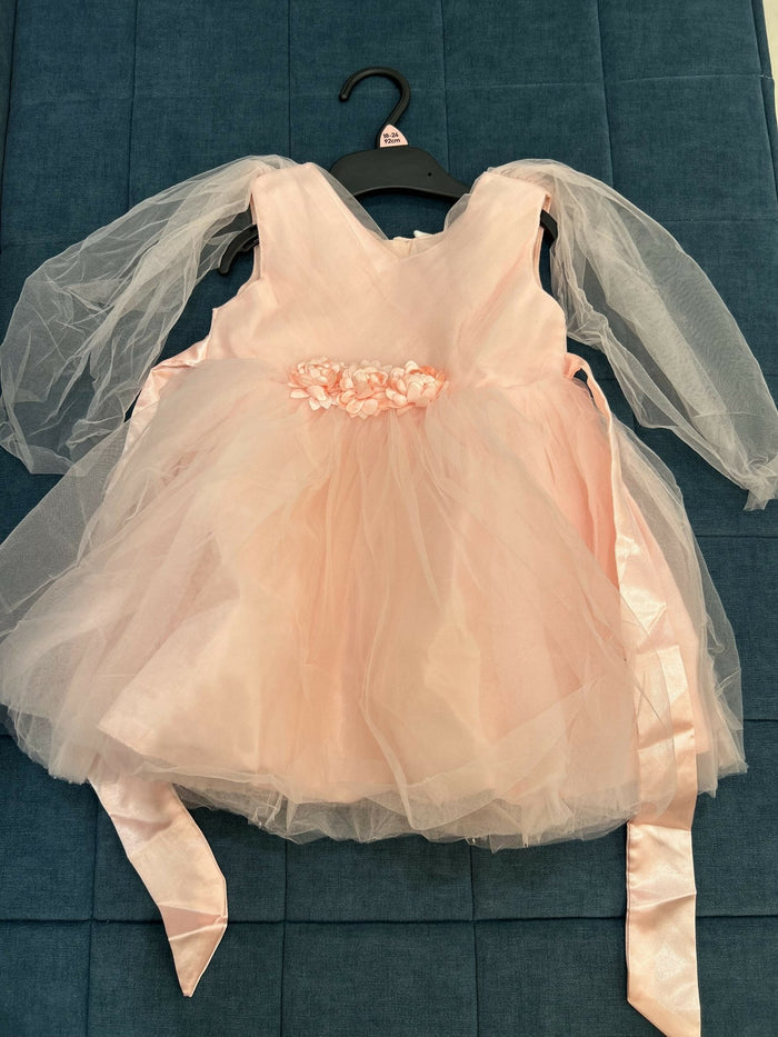 Pink dress with floral details and tulle sleeves on a blue textured background