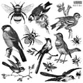 Birds and Bees Stamp