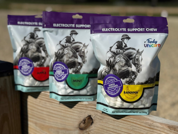 Funky Unicorn Electrolyte Support Chews Refill 21 oz
