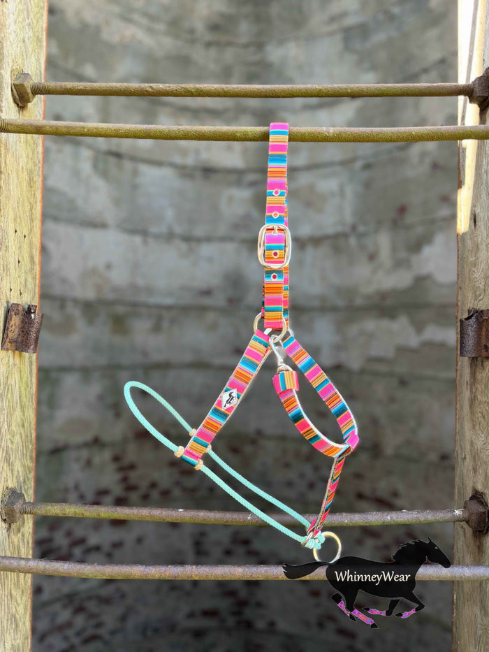 Neon Vaquero/Lariat Nose Halter (JR HSRF)
