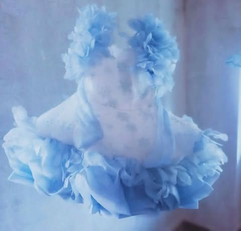 Organza Baby Girl Dress