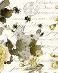 Sepia Blossom