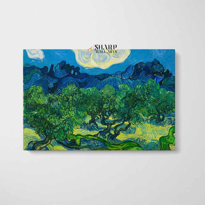 Vincent van Gogh Olive Grove Canvas Wall Art