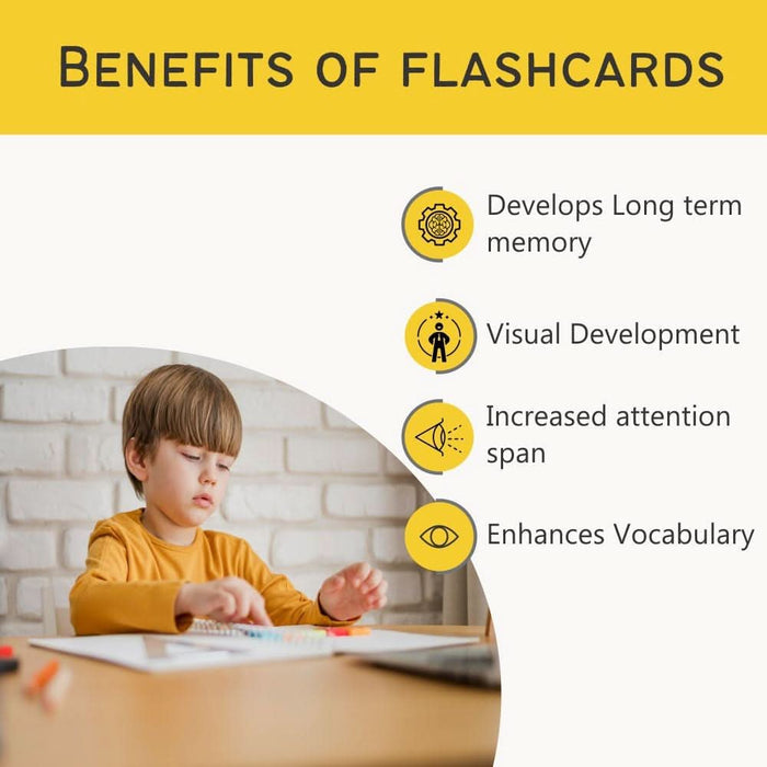 ZOOPLAY Flag 1 and Flag 2 Combo Flashcards